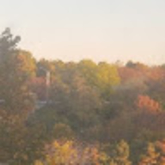 Meet your Posher, Leah - Picture 1 of 1